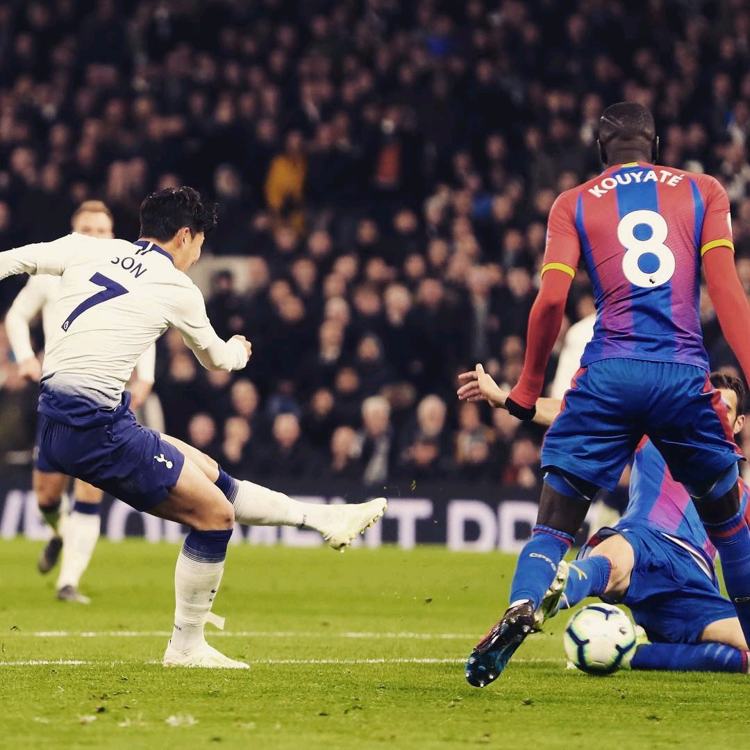 提供宝贵的 提供宝贵的